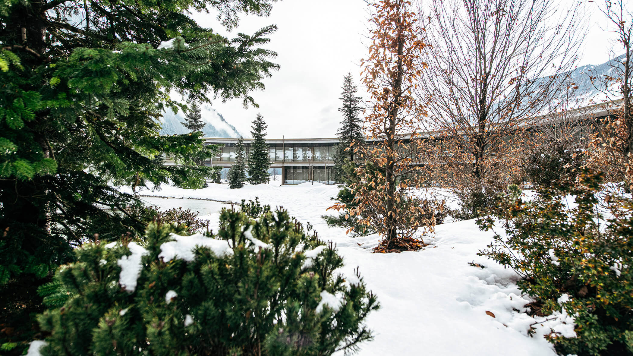 Innenhof mit Schwimmbad - OLM im Winter