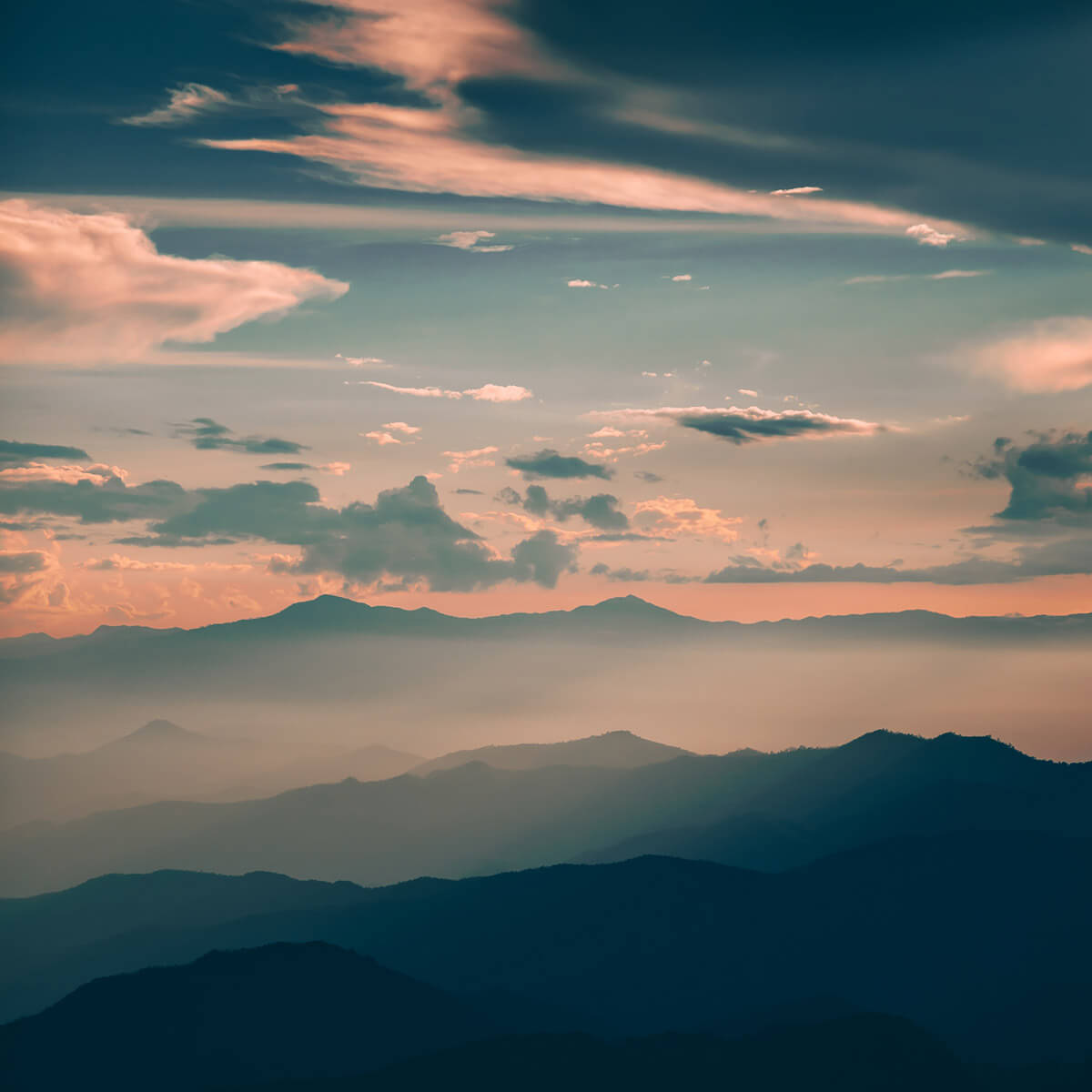 Highlight - Frei und Unabhängig